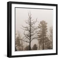 Evening Mist 1 Detail-Marlana Semenza-Framed Art Print