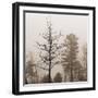 Evening Mist 1 Detail-Marlana Semenza-Framed Art Print