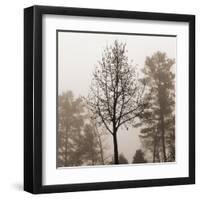 Evening Mist 2 Detail-Marlana Semenza-Framed Art Print