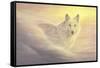 Evening Mist-Joh Naito-Framed Stretched Canvas