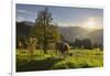 Evening Mood at the KitzbŸheler Horn, Cows, Tyrol, Austria-Rainer Mirau-Framed Photographic Print