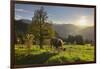 Evening Mood at the KitzbŸheler Horn, Cows, Tyrol, Austria-Rainer Mirau-Framed Photographic Print