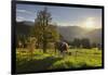 Evening Mood at the KitzbŸheler Horn, Cows, Tyrol, Austria-Rainer Mirau-Framed Photographic Print