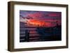 Evening Mood in the Harbour of Timmendorf, Baltic Sea Island Poel-Thomas Ebelt-Framed Photographic Print