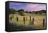 Evening Mood Near Jamestown, California, Usa-Rainer Mirau-Framed Stretched Canvas