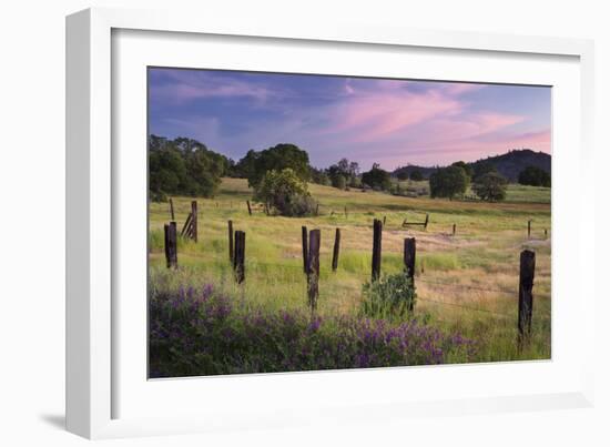 Evening Mood Near Jamestown, California, Usa-Rainer Mirau-Framed Photographic Print