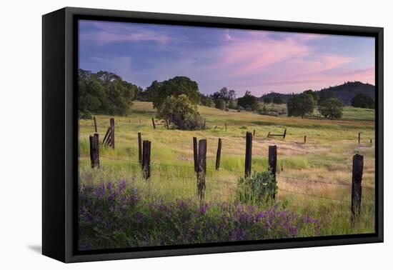 Evening Mood Near Jamestown, California, Usa-Rainer Mirau-Framed Stretched Canvas