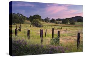 Evening Mood Near Jamestown, California, Usa-Rainer Mirau-Stretched Canvas