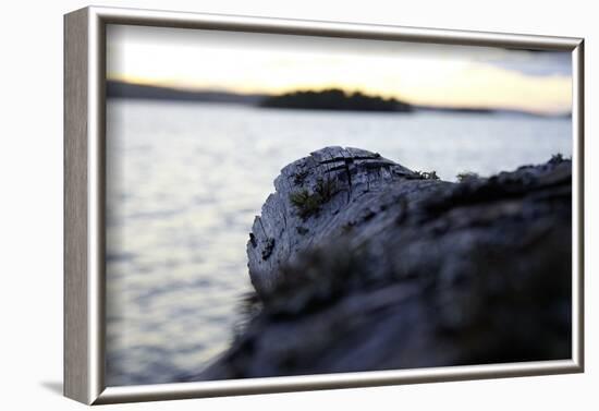 Evening mood, Stora Le Lake, Sweden-Andrea Lang-Framed Photographic Print