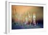 Evening Moss-Ursula Abresch-Framed Photographic Print