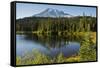 Evening, Mount Rainier, Reflection Lake, Mount Rainier NP, Washington-Michel Hersen-Framed Stretched Canvas