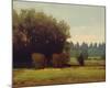 Evening Near Eugene-Marc Bohne-Mounted Art Print