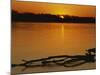 Evening on Missouri River, Callaway County, Missouri, USA-Charles Gurche-Mounted Photographic Print