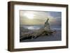 Evening on the Western Beach of Darss Peninsula-Uwe Steffens-Framed Photographic Print