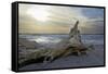 Evening on the Western Beach of Darss Peninsula-Uwe Steffens-Framed Stretched Canvas