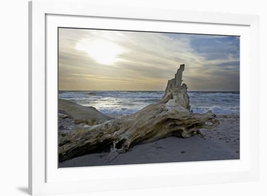 Evening on the Western Beach of Darss Peninsula-Uwe Steffens-Framed Photographic Print