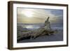 Evening on the Western Beach of Darss Peninsula-Uwe Steffens-Framed Photographic Print