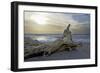 Evening on the Western Beach of Darss Peninsula-Uwe Steffens-Framed Photographic Print