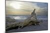 Evening on the Western Beach of Darss Peninsula-Uwe Steffens-Mounted Photographic Print