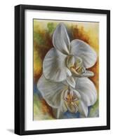 Evening Orchid-Barbara Keith-Framed Giclee Print