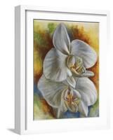 Evening Orchid-Barbara Keith-Framed Giclee Print