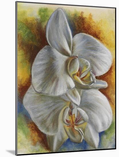 Evening Orchid-Barbara Keith-Mounted Giclee Print