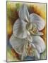 Evening Orchid-Barbara Keith-Mounted Giclee Print