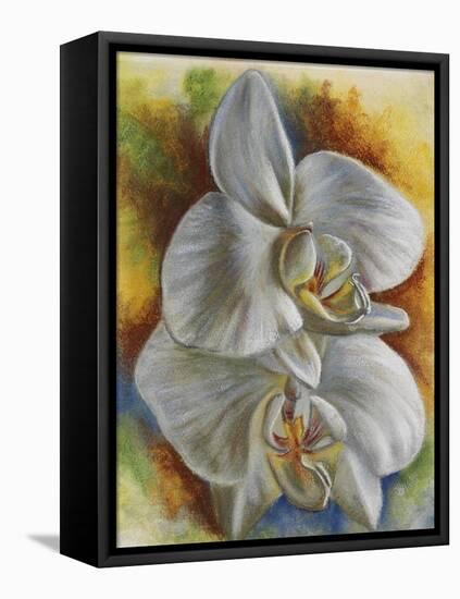 Evening Orchid-Barbara Keith-Framed Stretched Canvas