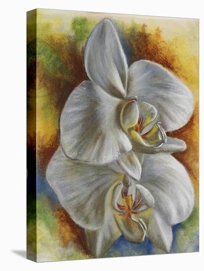 Evening Orchid-Barbara Keith-Stretched Canvas