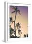 Evening Palms-Emily Navas-Framed Art Print