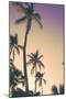 Evening Palms-Emily Navas-Mounted Art Print