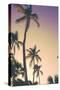 Evening Palms-Emily Navas-Stretched Canvas