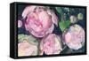 Evening Peonies II-Albena Hristova-Framed Stretched Canvas