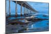 Evening Pier II-Lee Peterson-Mounted Photographic Print