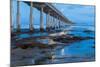 Evening Pier II-Lee Peterson-Mounted Photo