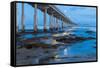 Evening Pier II-Lee Peterson-Framed Stretched Canvas