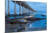 Evening Pier II-Lee Peterson-Mounted Photographic Print