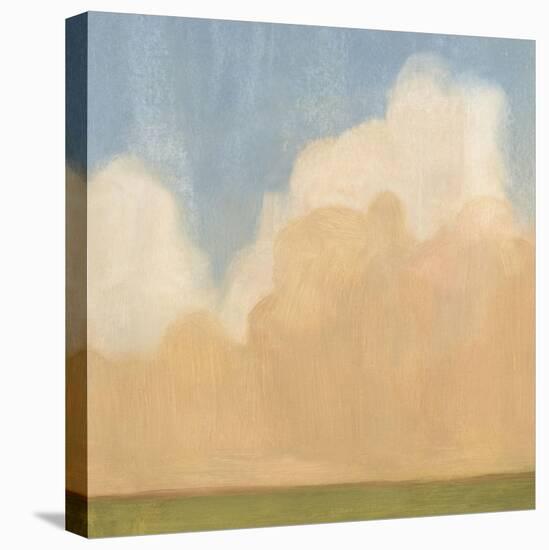 Evening Plane II-Emma Scarvey-Stretched Canvas