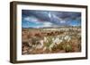 Evening Primrose in Grand Staircase Escalante National Monument-Howie Garber-Framed Photographic Print