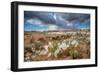 Evening Primrose in Grand Staircase Escalante National Monument-Howie Garber-Framed Photographic Print