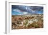 Evening Primrose in Grand Staircase Escalante National Monument-Howie Garber-Framed Photographic Print