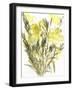 Evening primroses; 2004-Claudia Hutchins-Puechavy-Framed Giclee Print