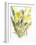 Evening primroses; 2004-Claudia Hutchins-Puechavy-Framed Giclee Print