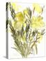 Evening primroses; 2004-Claudia Hutchins-Puechavy-Stretched Canvas
