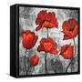 Evening Red I-Brian Francis-Framed Stretched Canvas