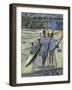 Evening Return, Henley, 1998-Timothy Easton-Framed Giclee Print