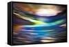 Evening Riot-Ursula Abresch-Framed Stretched Canvas