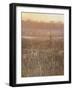 Evening Rise-Lincoln Seligman-Framed Giclee Print