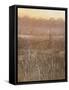 Evening Rise-Lincoln Seligman-Framed Stretched Canvas