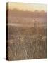 Evening Rise-Lincoln Seligman-Stretched Canvas